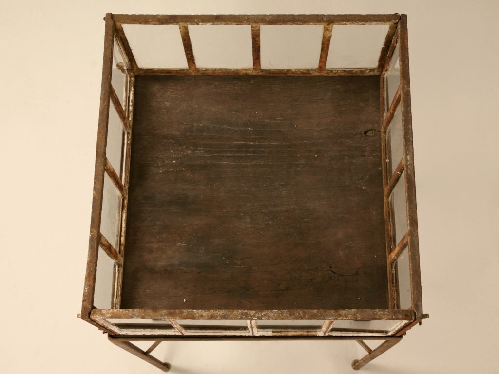 Glazed Antique English Cloche/Seedlng Starter/Terrarium on Stand 3