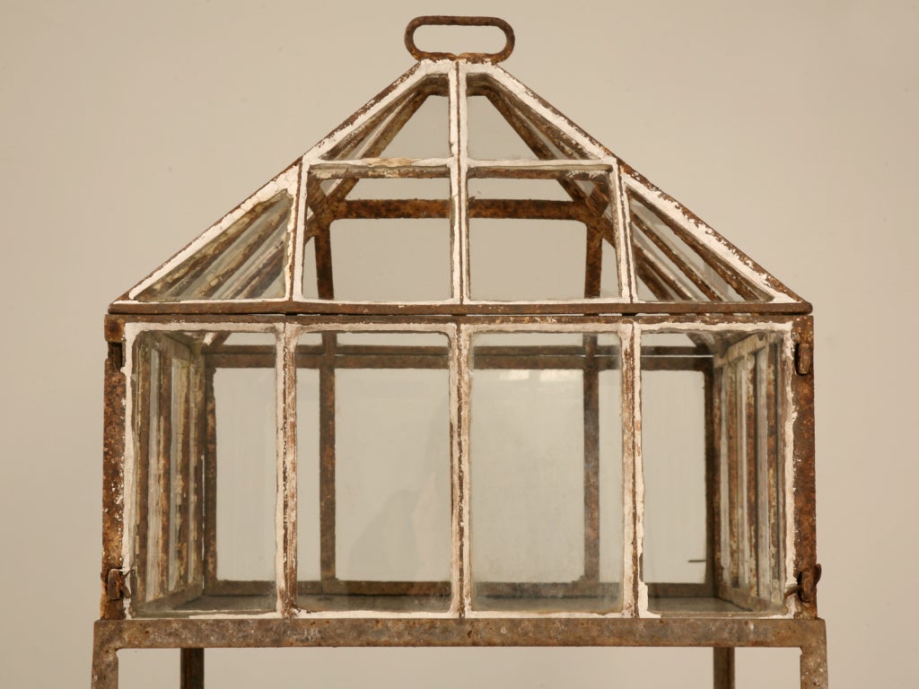 Outstanding original antique English garden cloche on stand. This fine example is perfect most anywhere, use it to start seedlings in the winter, for growing herbs year around, or keeping that one special plant alive a few more years. You may want