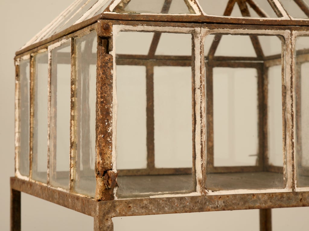 Steel Glazed Antique English Cloche/Seedlng Starter/Terrarium on Stand