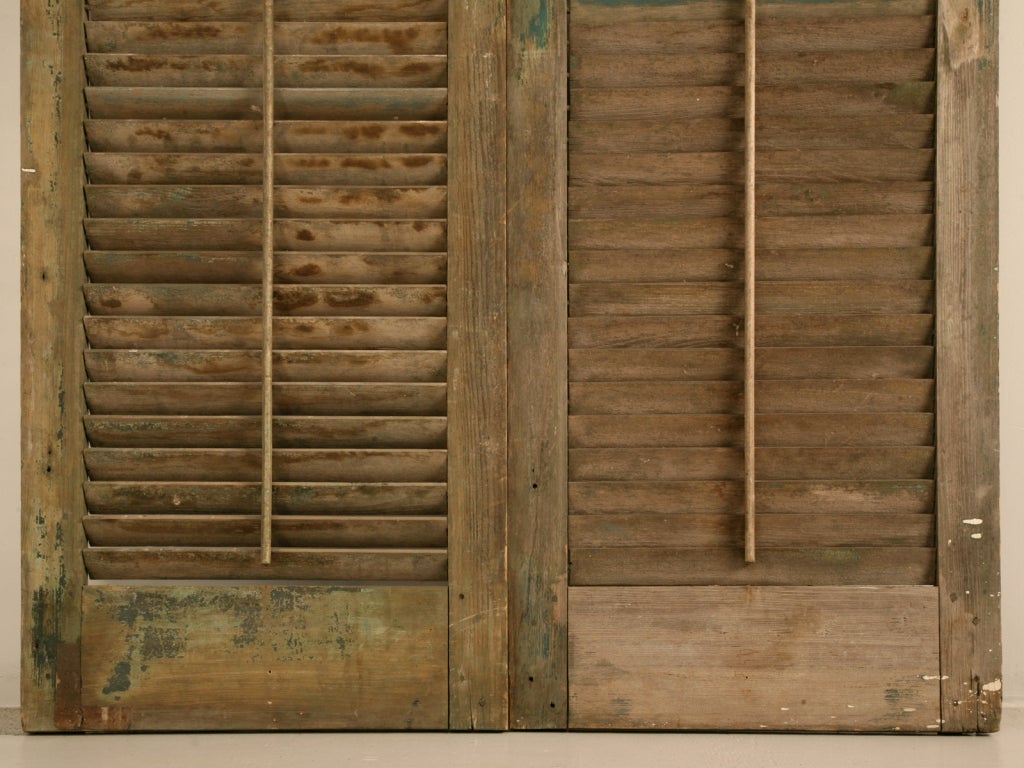 Great Pair of Antique English Original Paint Window Shutters 7