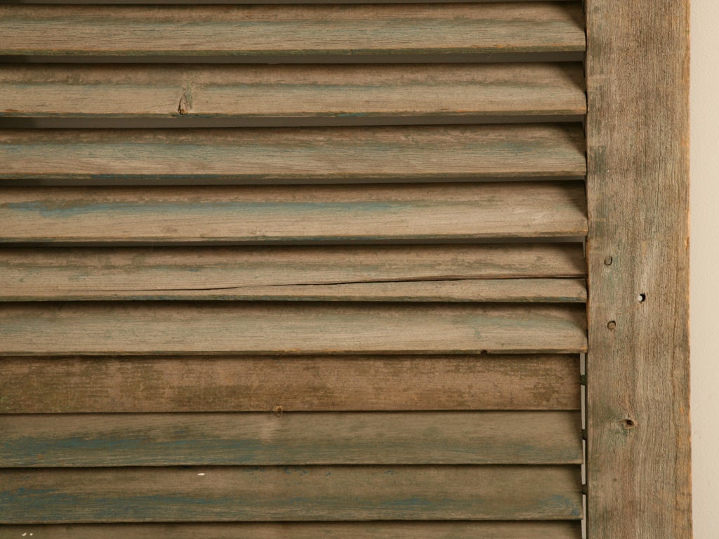 19th Century Great Pair of Antique English Original Paint Window Shutters