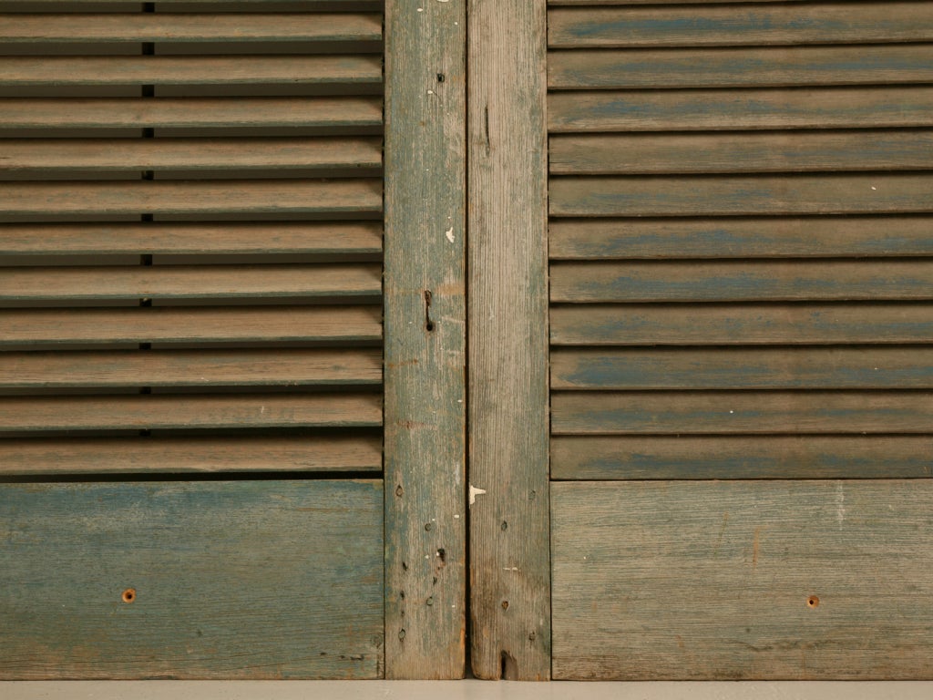 Great Pair of Antique English Original Paint Window Shutters 2