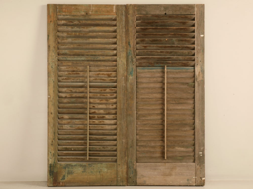 Great Pair of Antique English Original Paint Window Shutters 3