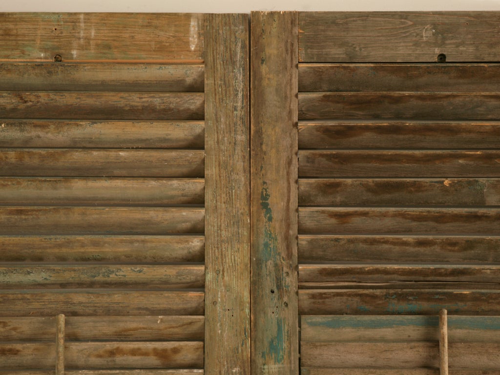 Great Pair of Antique English Original Paint Window Shutters 4
