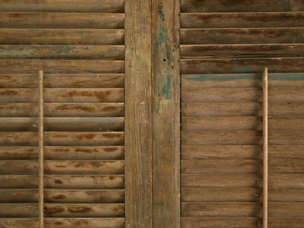 Great Pair of Antique English Original Paint Window Shutters 6