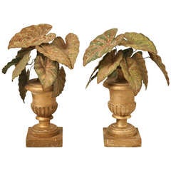 Pair of Early 20th Century French Folk Art Philodendron in Urns