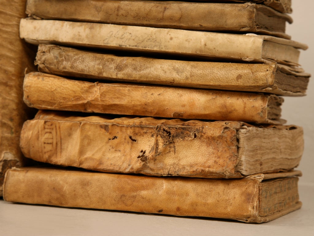 Fabulous Collection of 11 Early Latin Books w/Vellum Bindings 3
