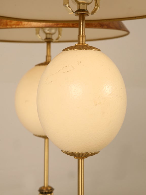 Ostrich Eggshell Pair of Vintage Ostrich Egg Lamps w/Frederick Cooper Shades