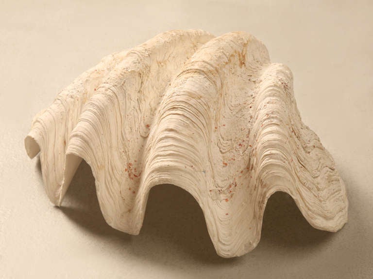 Giant Original Natural & Authentic Clam Seashell Bowl, Basin or Planter 2