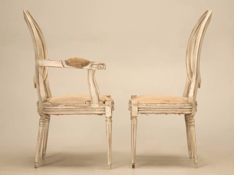 French Louis XVI Style DIning Chairs, circa 1930 4