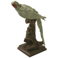 Early 20th C. Austrian Cold Painted Bronze Parrot Statue