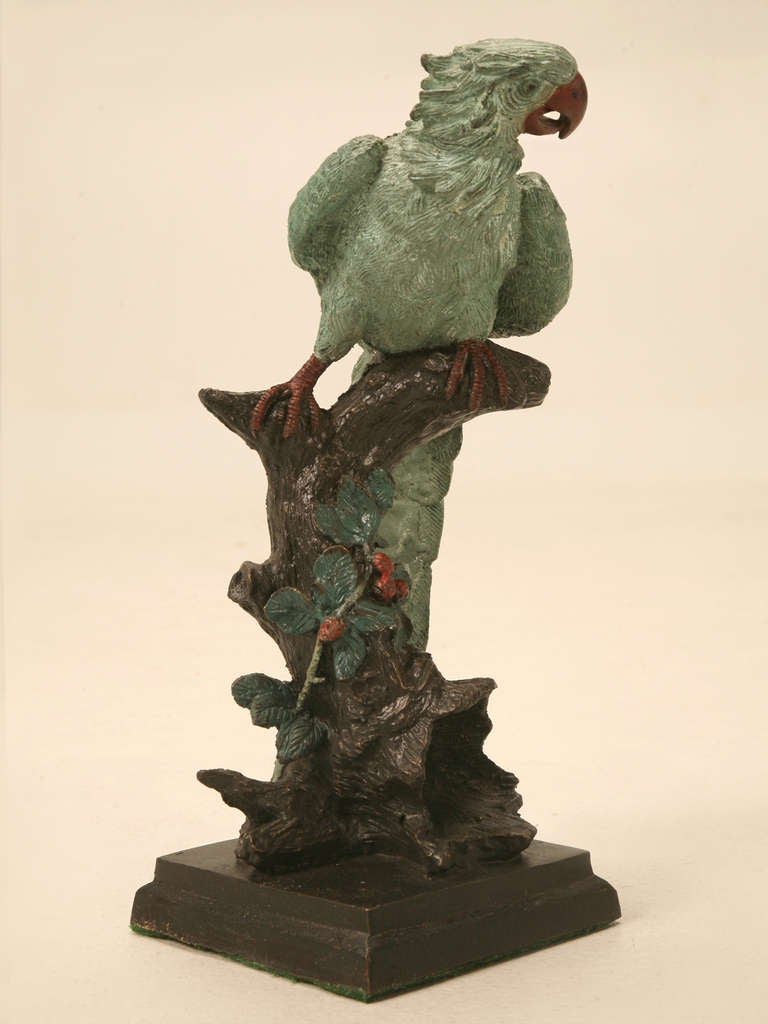 Vintage Austrian cold painted cast bronze parrot. This life-like example is extremely well executed, the feathers appear so real, you think you could pull one. This handsome bronze has a stellar appearance and would grace any room with phenomenal