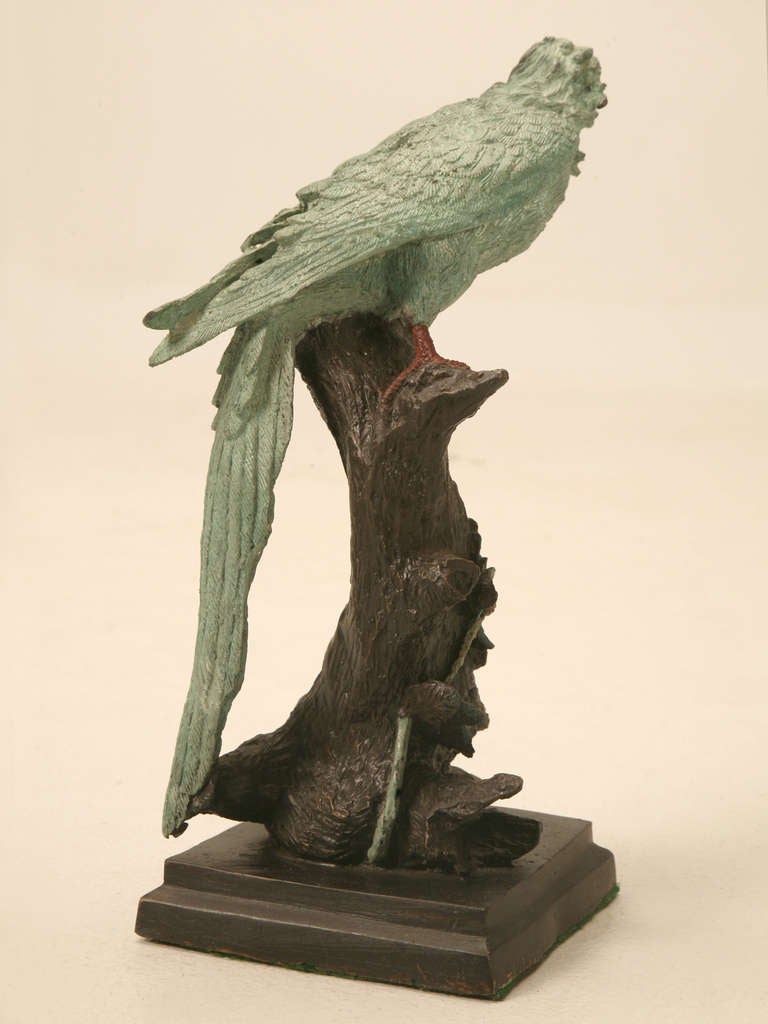 Early 20th C. Austrian Cold Painted Bronze Parrot Statue In Good Condition In Chicago, IL
