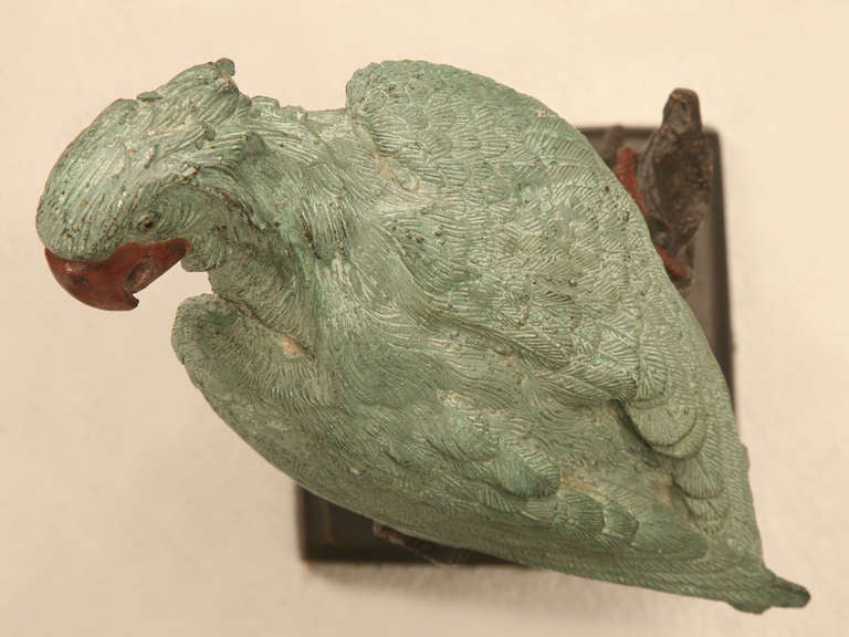 Early 20th C. Austrian Cold Painted Bronze Parrot Statue 1