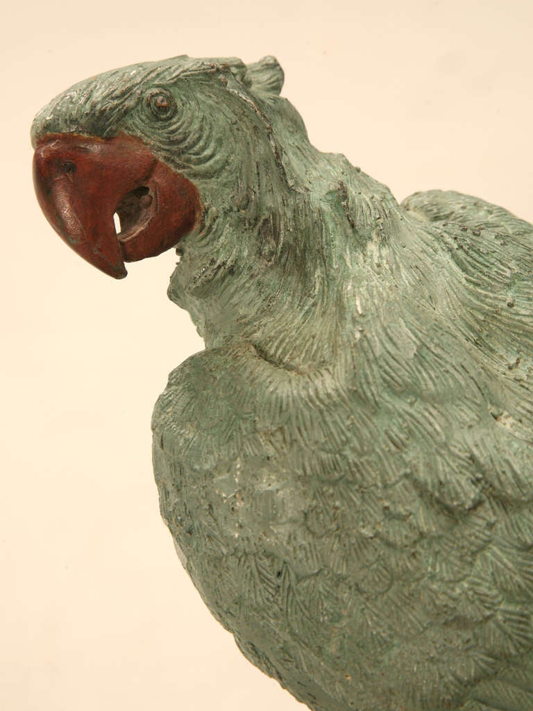 Early 20th C. Austrian Cold Painted Bronze Parrot Statue 2