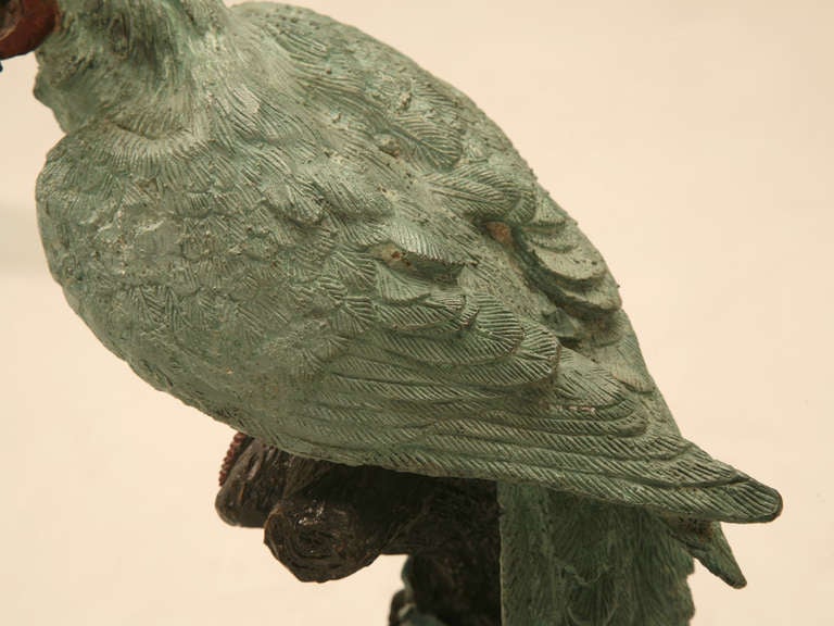 Early 20th C. Austrian Cold Painted Bronze Parrot Statue 3