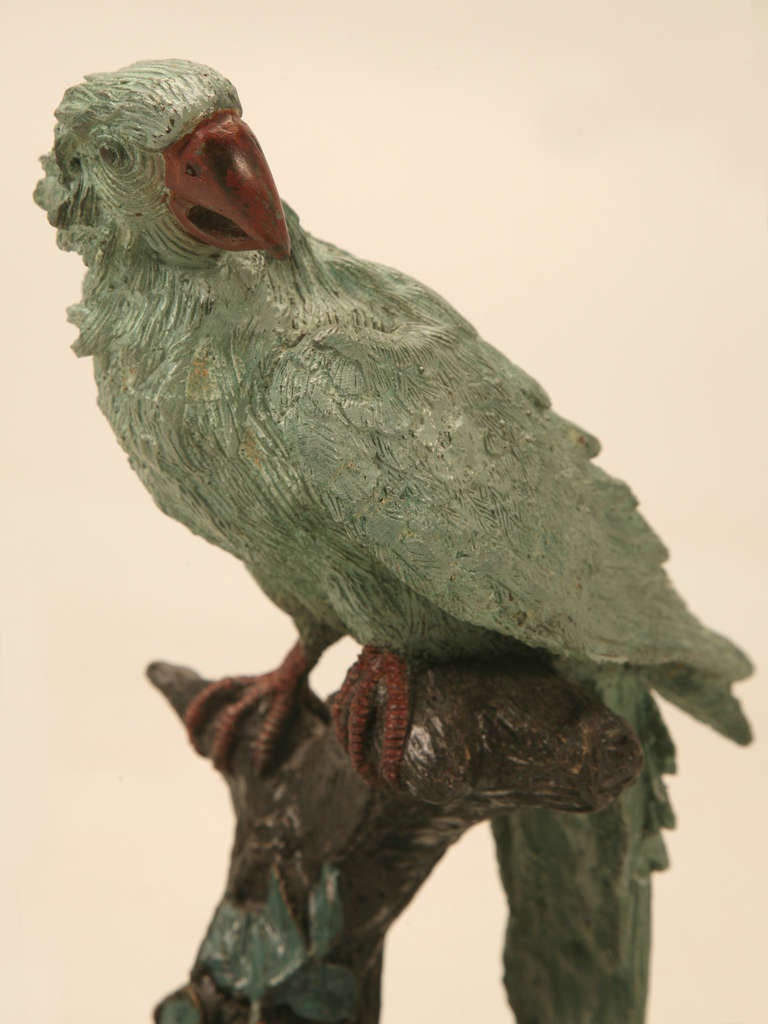 Early 20th C. Austrian Cold Painted Bronze Parrot Statue 4