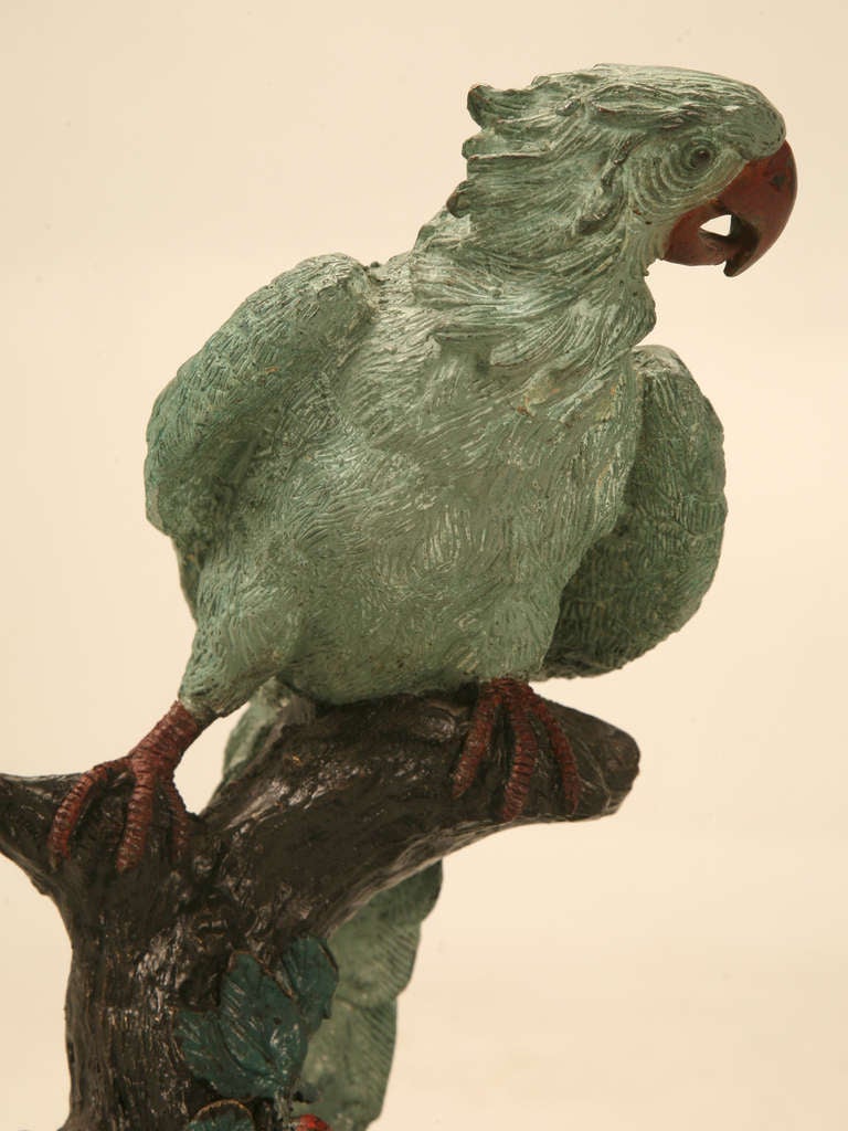 Early 20th C. Austrian Cold Painted Bronze Parrot Statue 5