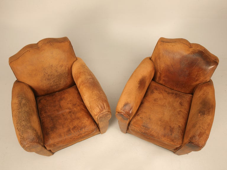 Mid-20th Century Unique Pair of French Original Lambskin Leather Moustache Back Club Chairs