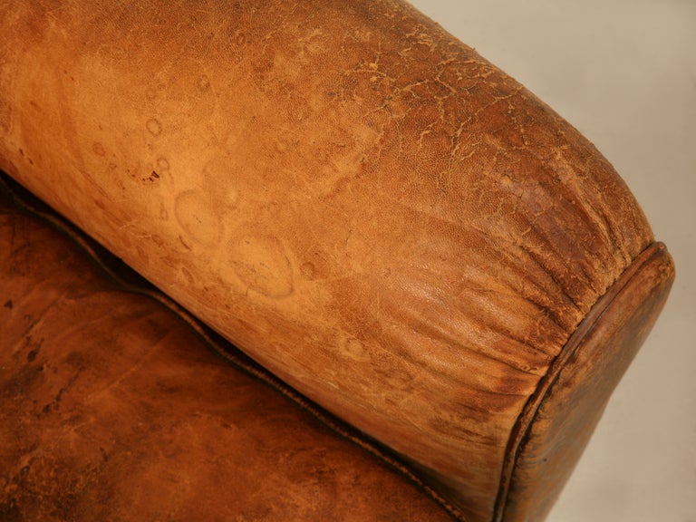 Unique Pair of French Original Lambskin Leather Moustache Back Club Chairs 2