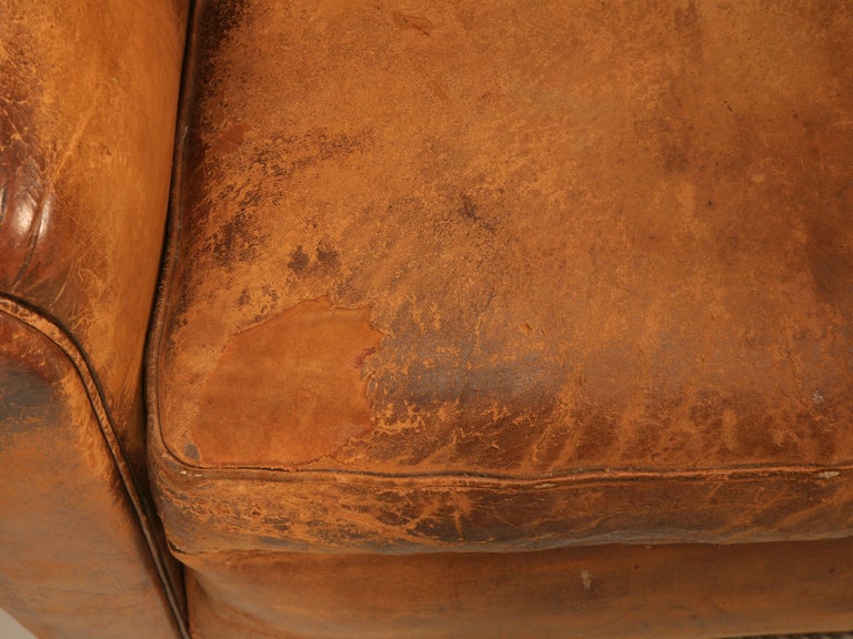 Unique Pair of French Original Lambskin Leather Moustache Back Club Chairs 3