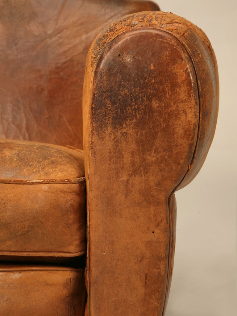 Unique Pair of French Original Lambskin Leather Moustache Back Club Chairs 4