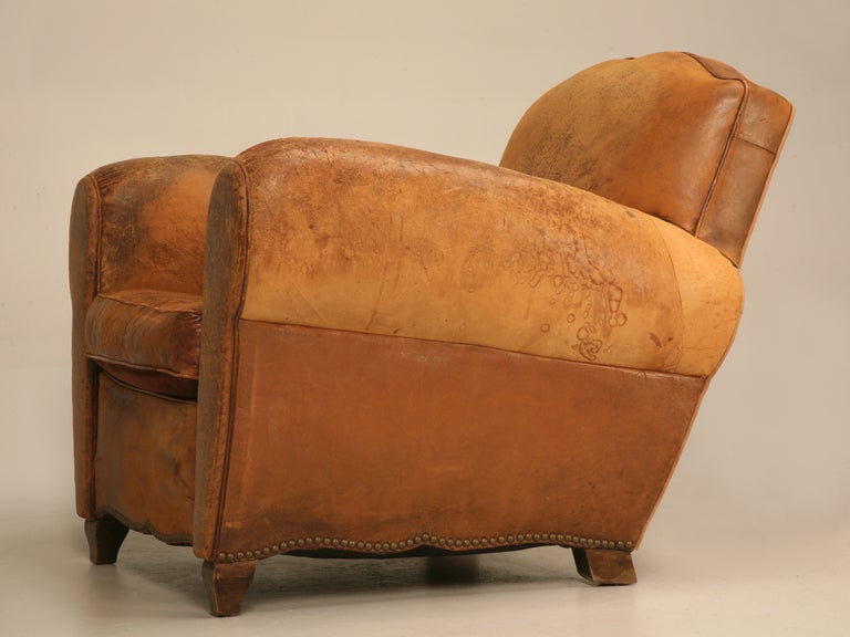 Unique Pair of French Original Lambskin Leather Moustache Back Club Chairs 5