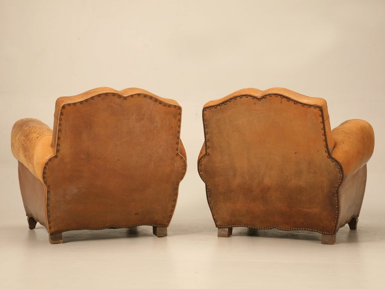 Unique Pair of French Original Lambskin Leather Moustache Back Club Chairs 6