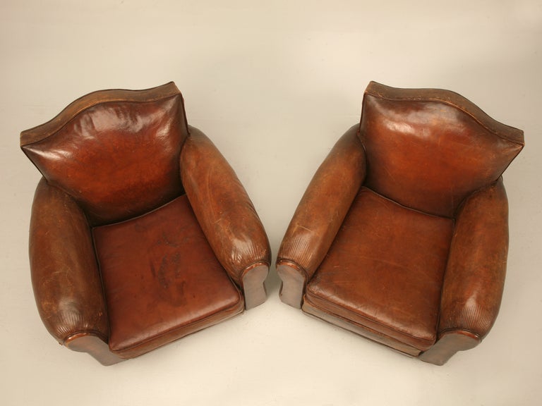 20th Century Amazing Pair of French Original Leather Camel Back Club Chairs