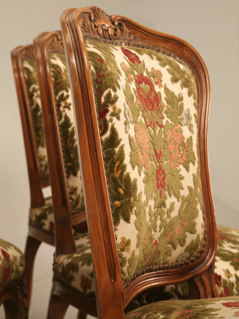 french louis dining chairs