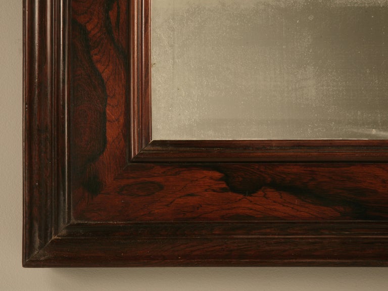 Spectacular & Exotic Antique French Rosewood Mirror 4