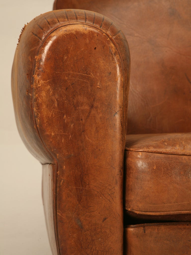 Unique French Original Lambskin Leather Moustache Back Club Chair 2