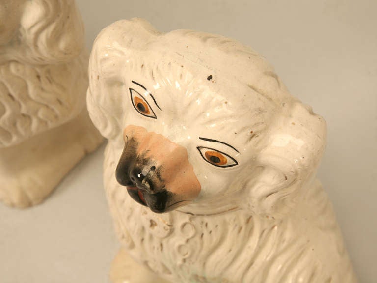 Cute, whimsical and full of charm and admiration, we proudly present this pair of  English Staffordshire shelf sitter dogs. Glazed in a classic off-white color, with adorable faces, eyes and collars with tags, these dogs will dress up any study.