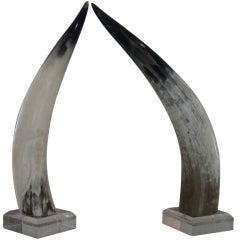 Pair of Large Steer Horns on Lucite Bases