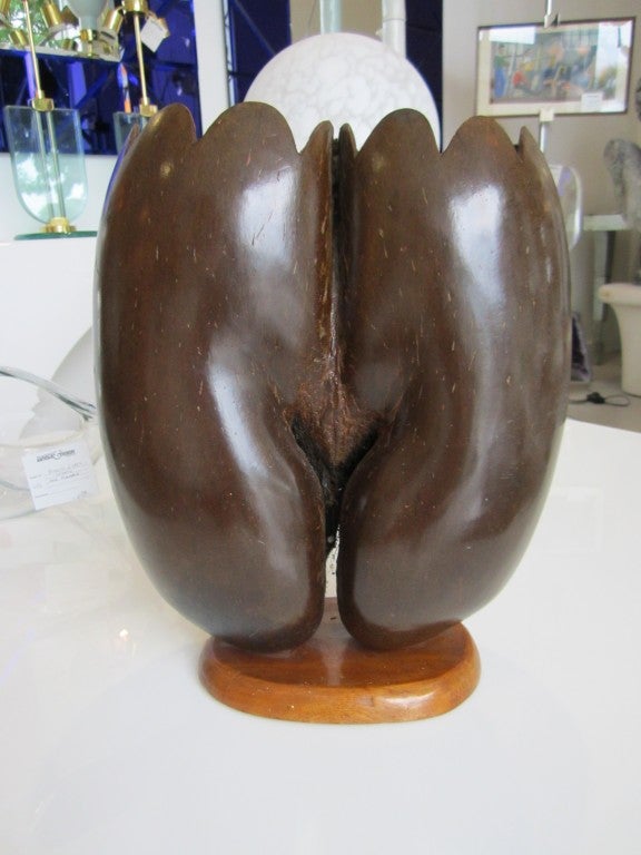 Rare Coco De Mer
