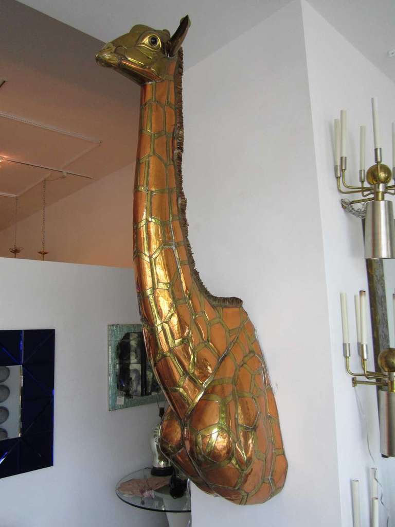 A giant polished mixed metal young giraffe wall mounted bust- trophy by Mexican artist Sergio Bustamante.  Copper fringe is patinated.
