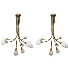 Brass and Glass Spider Chandeliers