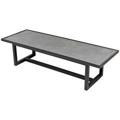 French Ebonized Wood Coffee Table with Etched Metal Motif