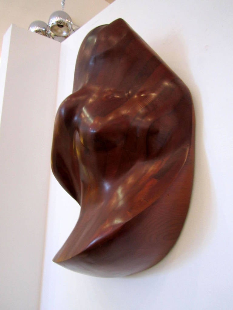 Unknown Vintage Carved Wood Biomorphic Wall Sculpture