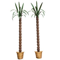 Pair of American Tole Wall-Mounted Palm Trees