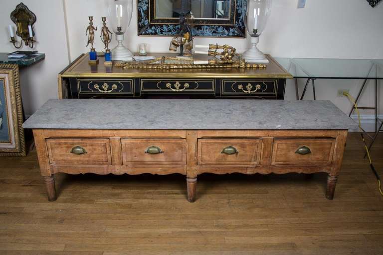 19th Century A 4 Drawer Low Table with Raised Panel Doors