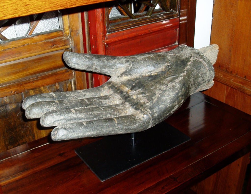 Black Buddha Hand, Wood