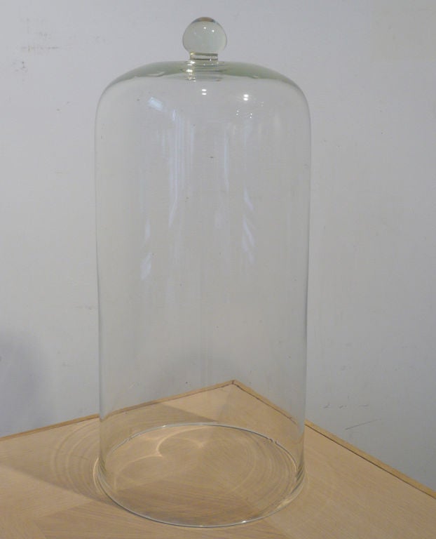 19th Century French Glass Cloche For Sale 1