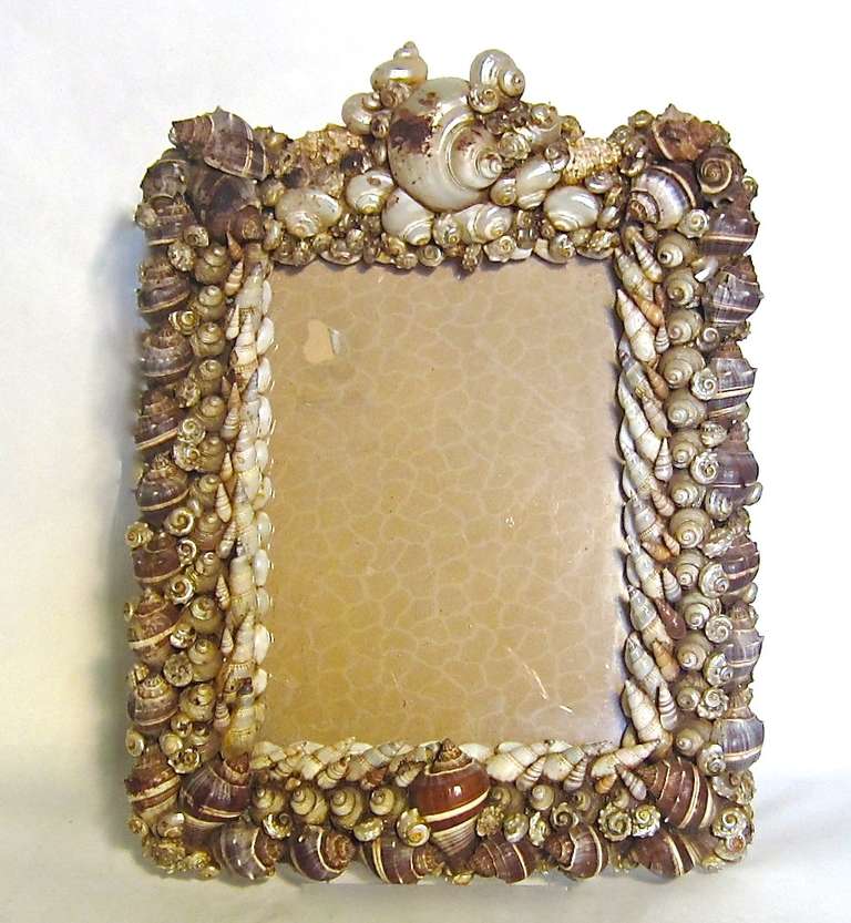 A beautiful collection of shells affixed in a well executed designed Victorian frame.