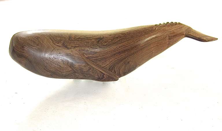 This beautifully carved whale figure is probably from the California coast and could have been card by one of the Seri people artisans. A very hard and dense wood with  interesting graining and natural colors A graceful visual delight.  The whale