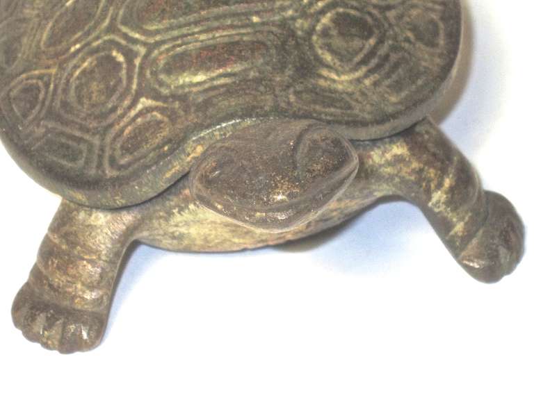 Hinged Brass Turtle Box For Sale 3