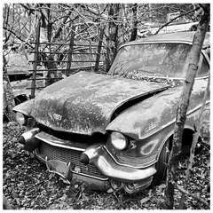 Long Term Parking by Alison Atchison