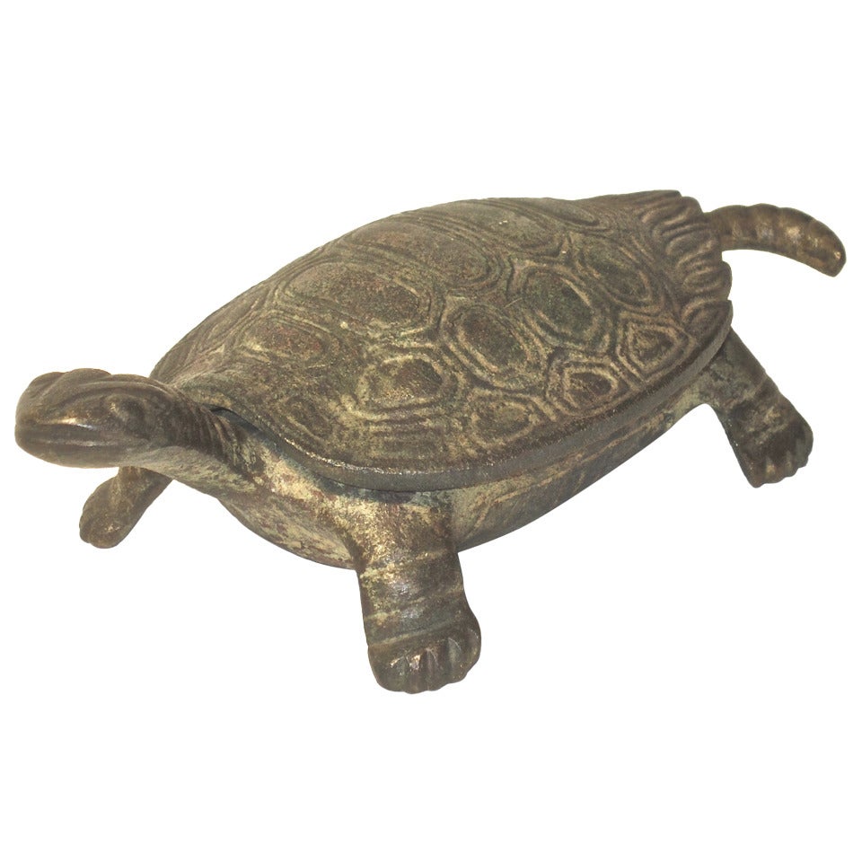 Hinged Brass Turtle Box For Sale