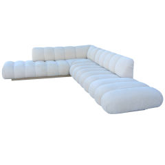 Exceptional and Seductiv  Sectional Sofa