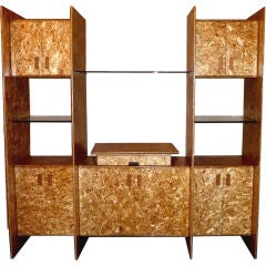 American Unique entertainment Unit by Gerald Mc Cabe 5